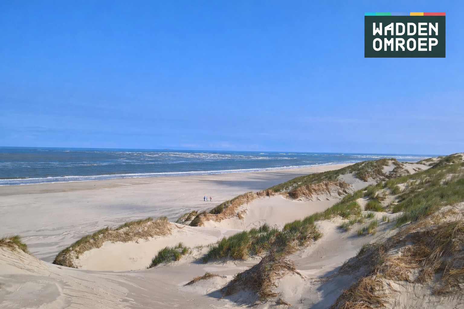 Vijf Waddeneilanden verenigd in nieuwe streekomroep: de Waddenomroep