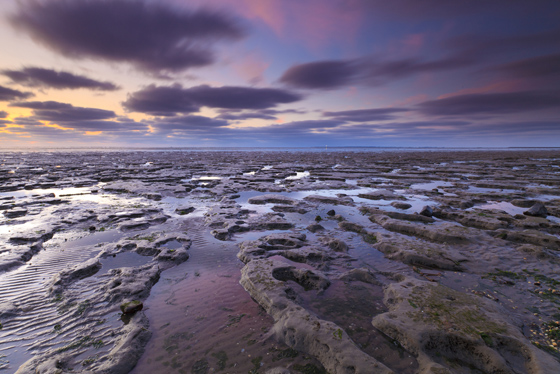 Waddenzee