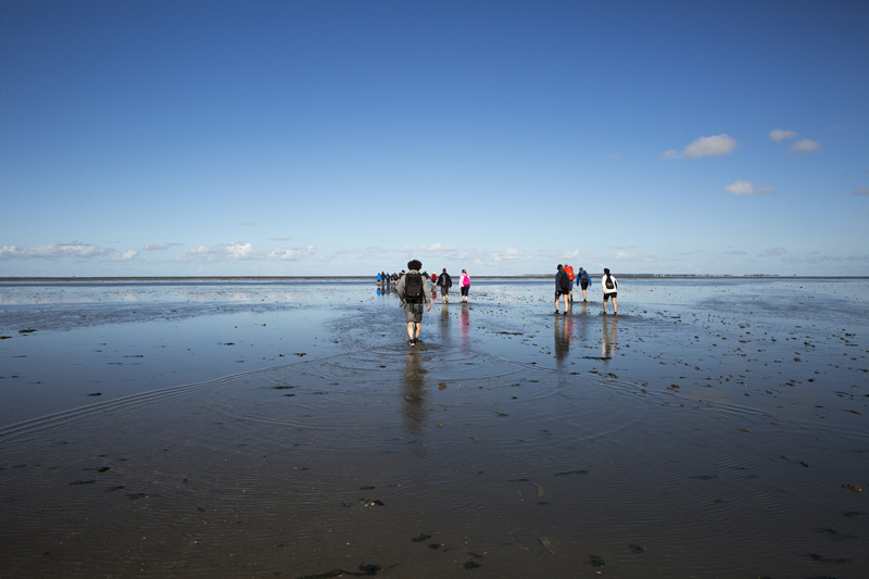 Waddenmars