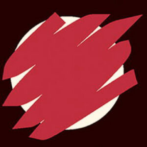 Stemmen op 16 maart of vervroegd