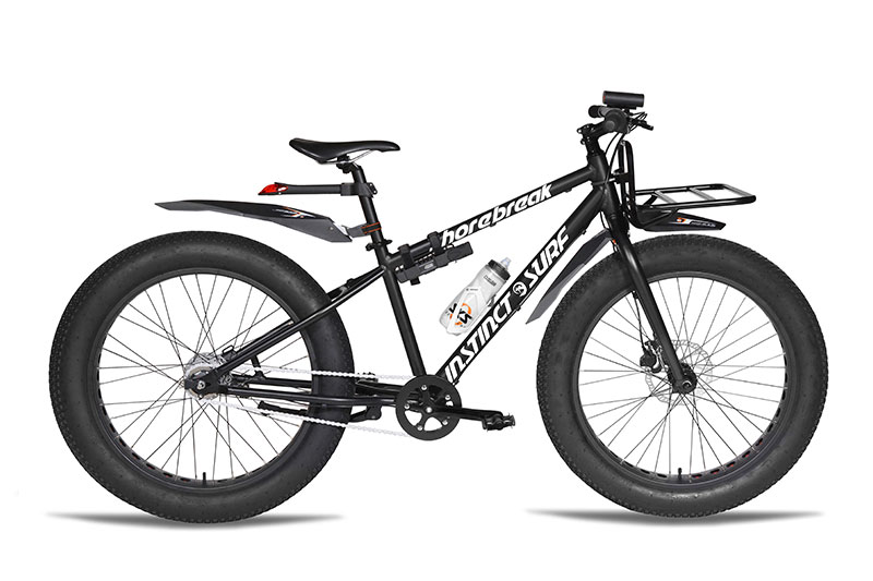 Fat Beach Bike