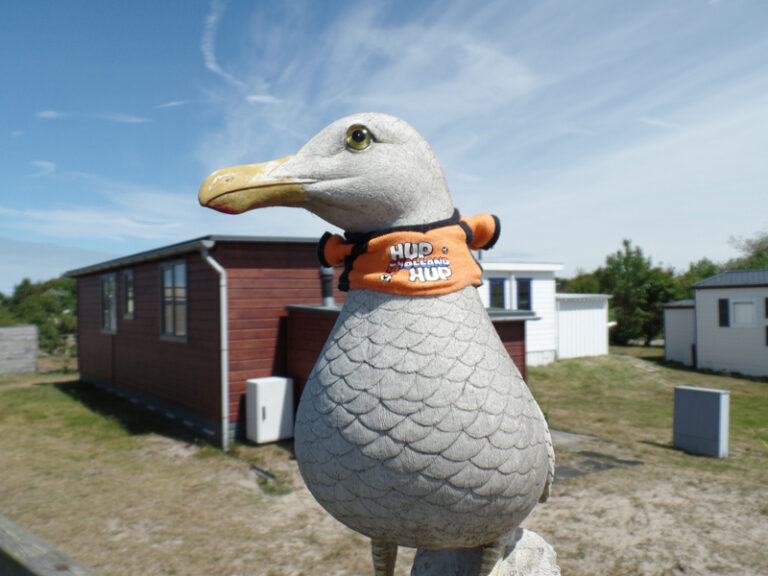 Oranje supporter
