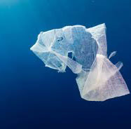 Wij eten ongewild plastic