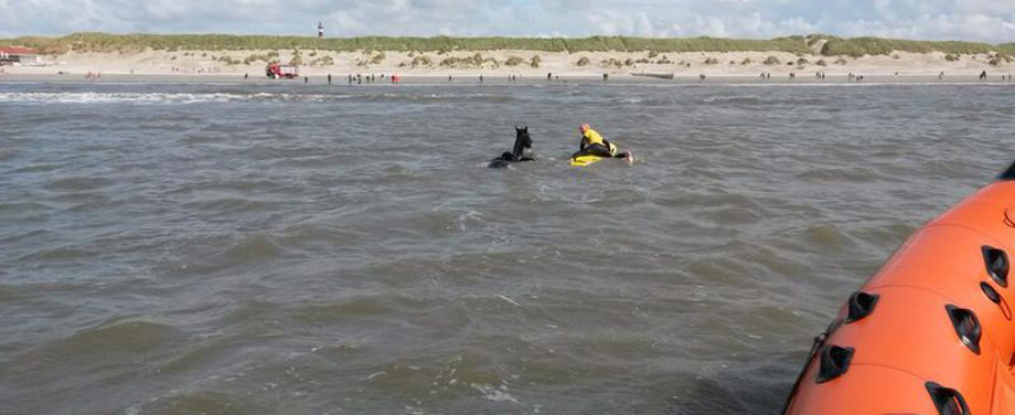Lifeguard redt paard