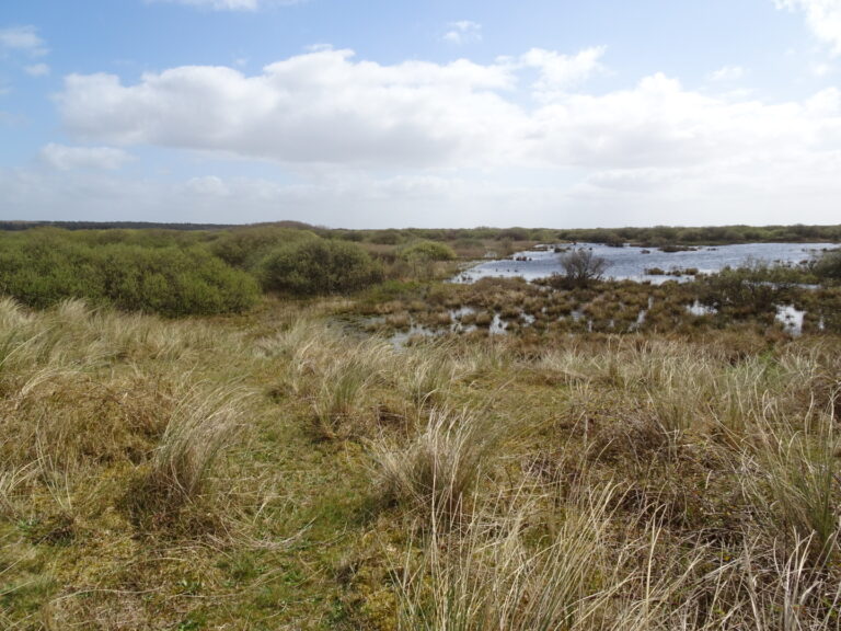 Hagedoornveld