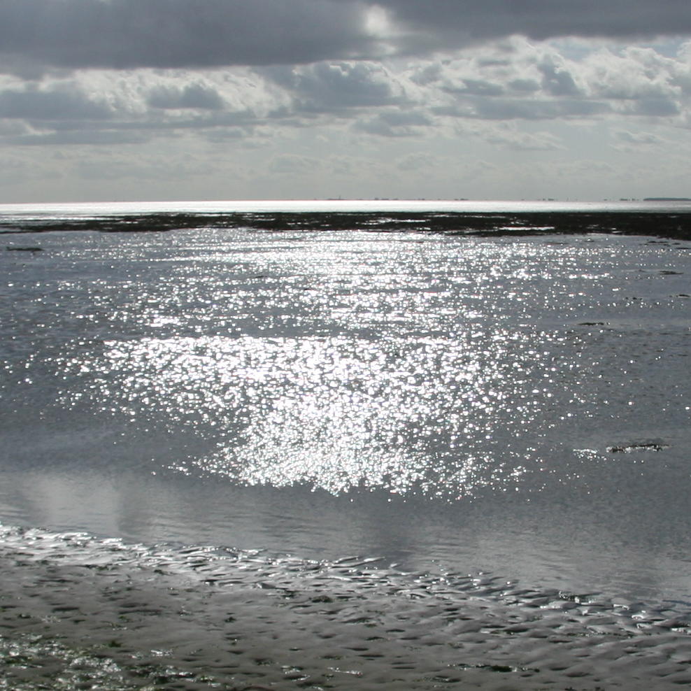 Deel Waddenzee blijft dicht voor vissers