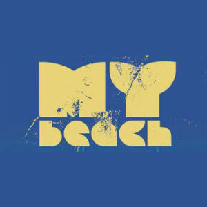 Strandschoonmaak van Hollum tot Paal 17