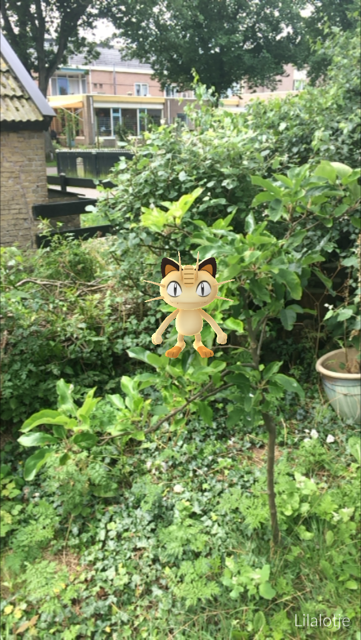Pokémon