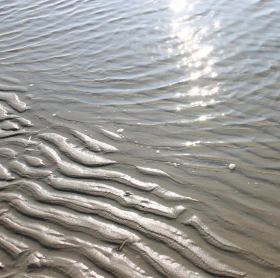 Ribbels. Ameland