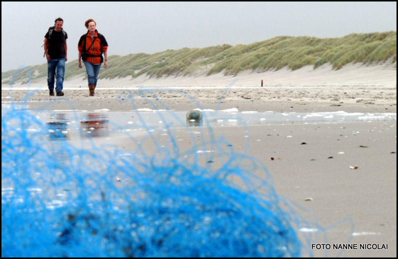 Tussen Slik en Zand