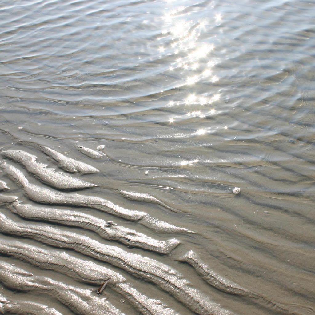 Mordicus tegen strandhuisjes Ameland
