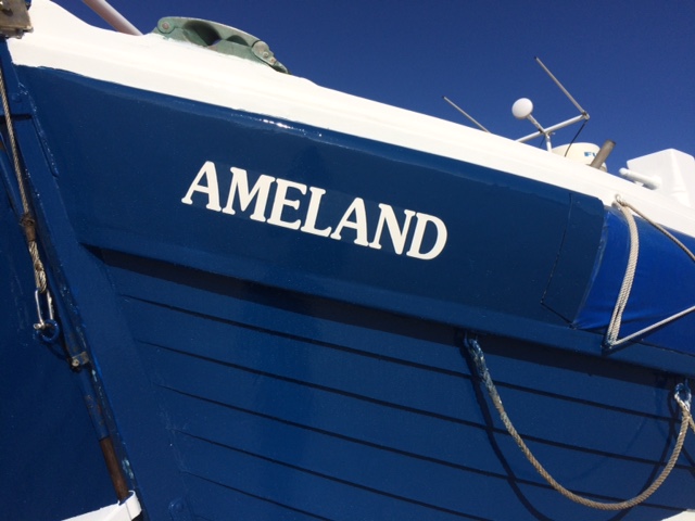 paardenreddingboot