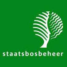Haardhoutmaand bij Staatsbosbeheer