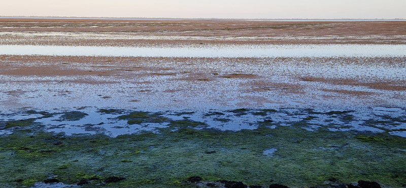 33. Mijn Ameland Foto