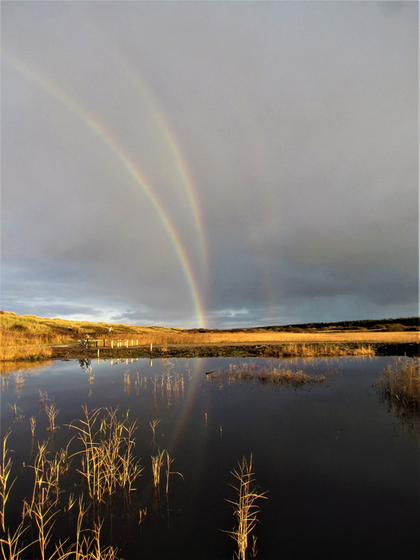 regenboog