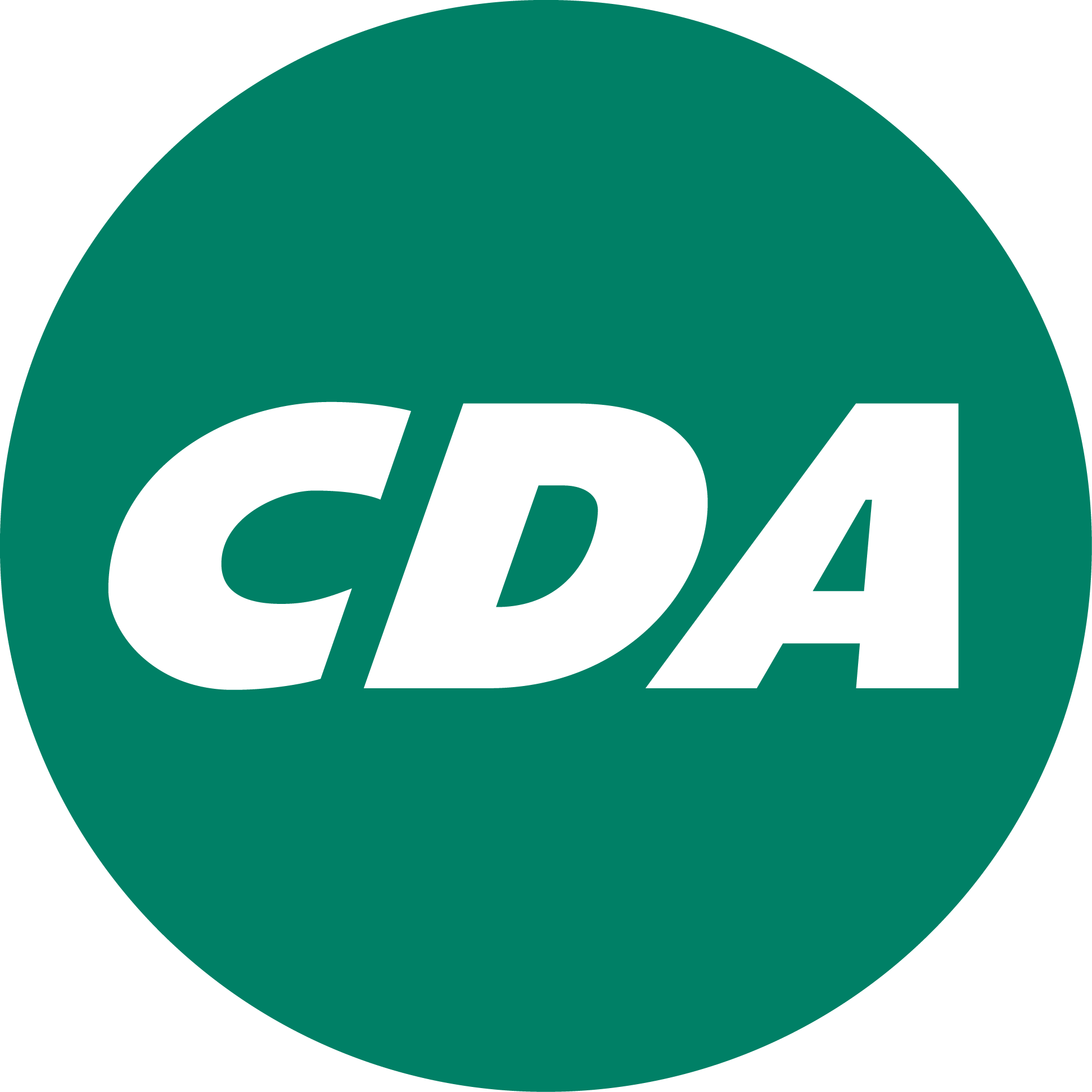 CDA Fryslân zonder Schokker