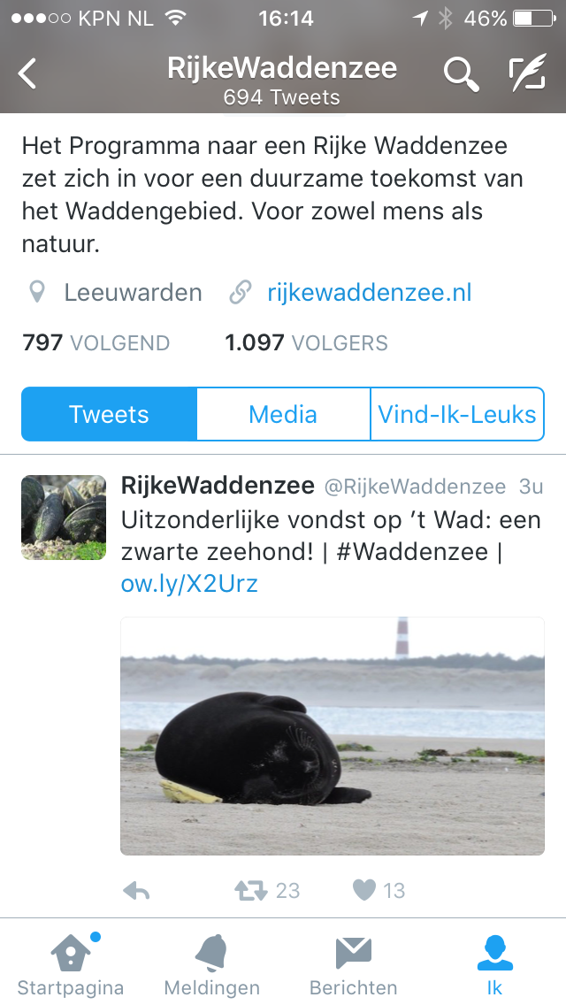 Zwarte zeehond