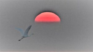 12. Mijn Ameland Foto