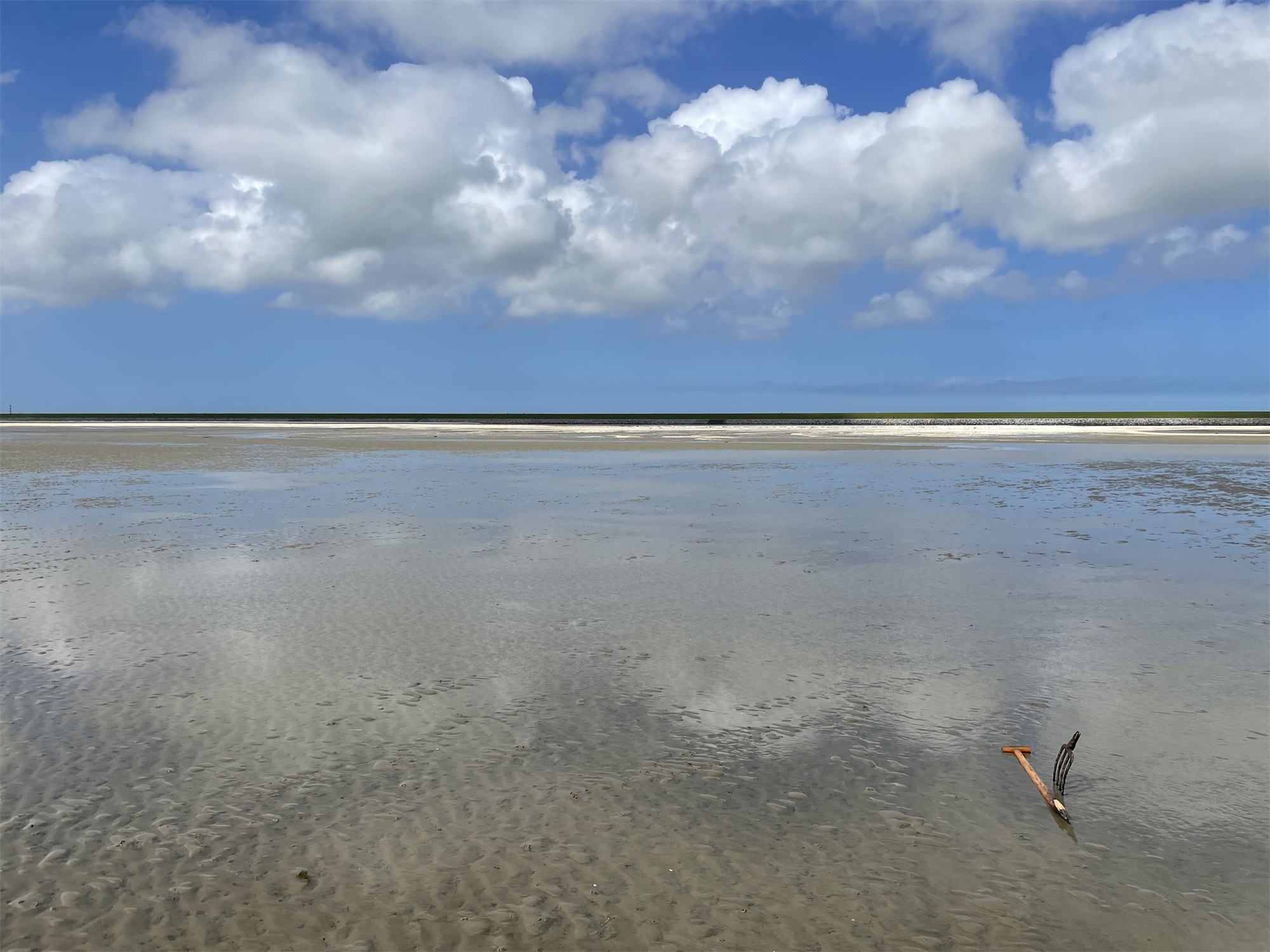 Waddenzee