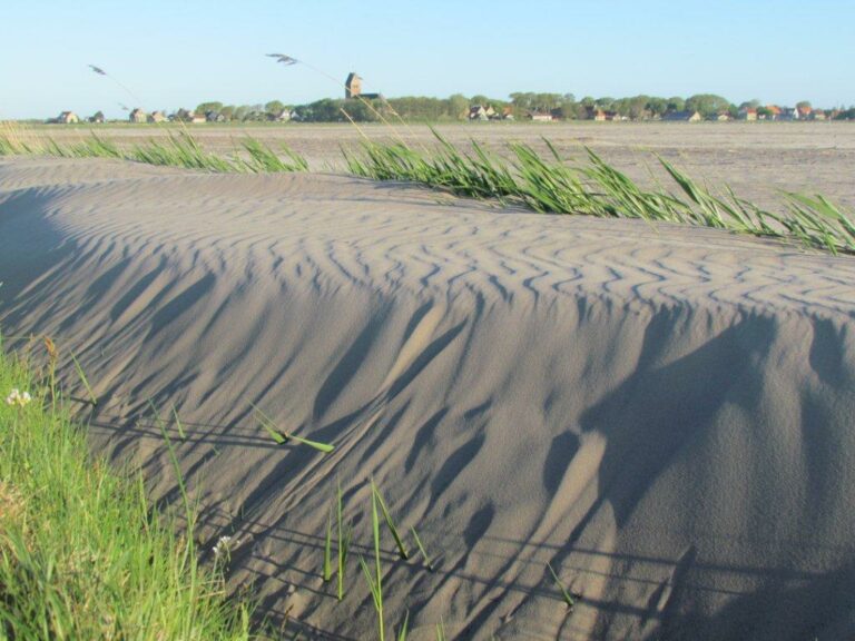 Kalahari