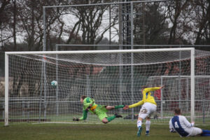 Geel Wit monsterscore