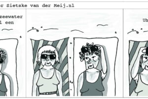 Fragment  van Antje & Betje 20