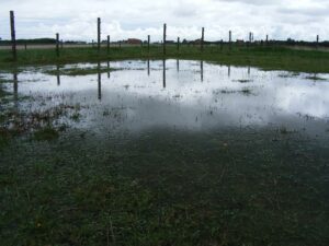Droogte en nattigheid op Ameland