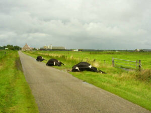Donder en bliksem in Buren