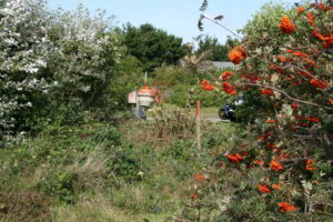 Roosdunen op Ameland
