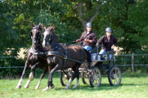 Amelanders doen paardenmarathon in Bergum