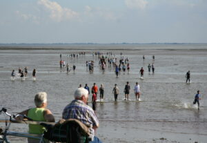 VVV Ameland Foto wedstrijd
