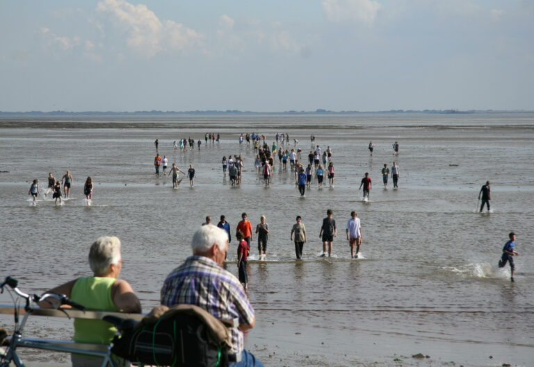 VVV Ameland Foto wedstrijd