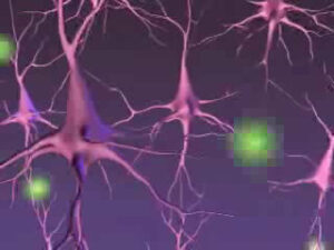 Alzheimer Café Noordoost-Friesland