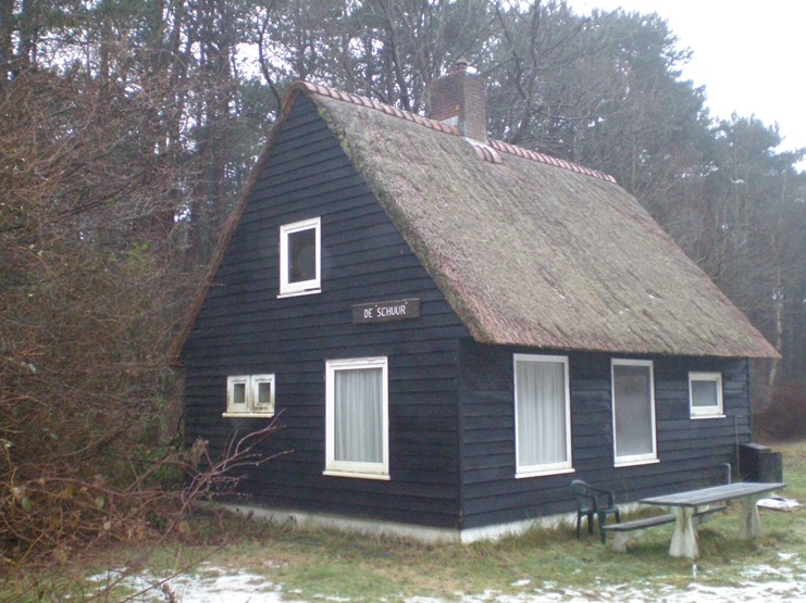 Staatsbosbeheer