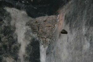 Bunkermuseum