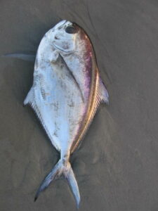 Braam Foto: Dirk Visser