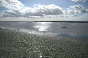 Waddenzee