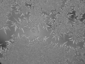 Wetterskip Frysl&acirc;n legt waterafvoer naar Waddenzee stil