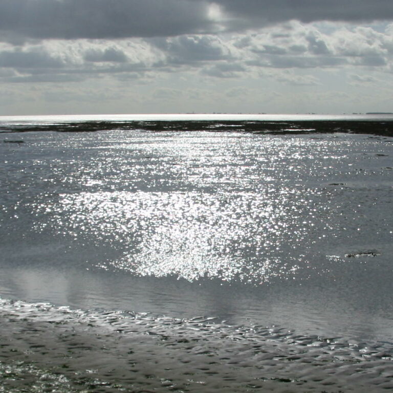 Beheer Waddengebied
