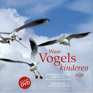 Waar vogels kinderen zijn