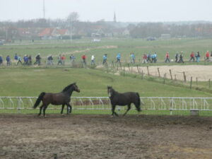 Nordic Walk Ameland 2009