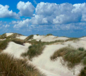Betonduinen moeten Ameland beschermen