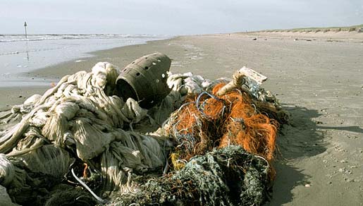 Zwervend langs Zee