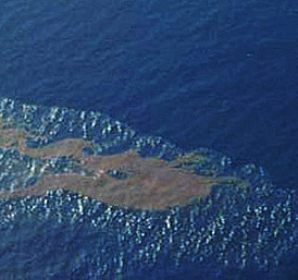 Zorgen na olievervuiling in Waddenzee