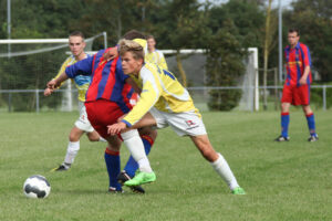 Geel Wit