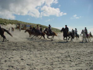 Ameland