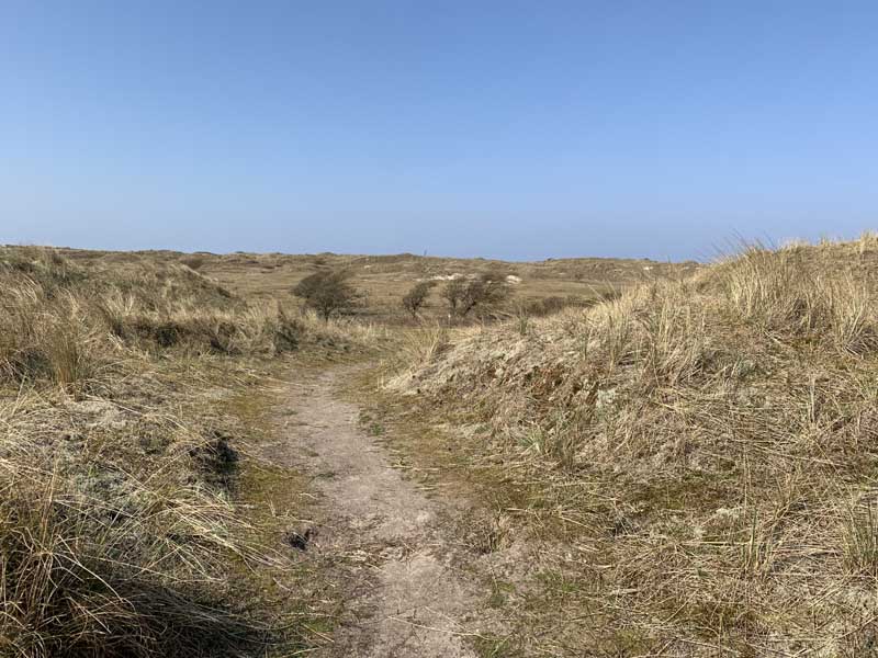 duinen