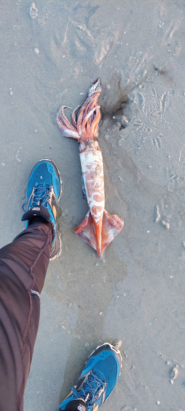 14. Mijn Ameland Foto