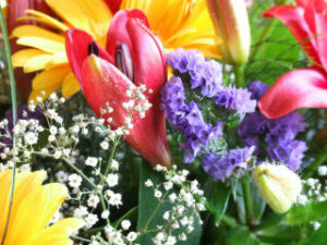 Bloemen