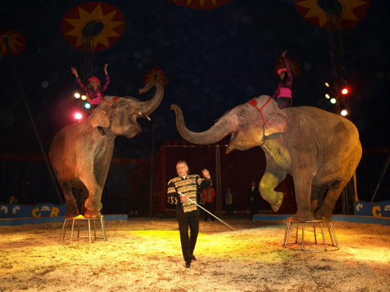 Circus Renz Berlin